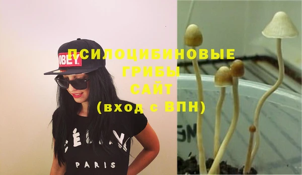 PSILOCYBIN Володарск