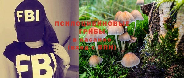 PSILOCYBIN Волосово